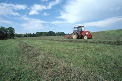 common agricultural policy cap