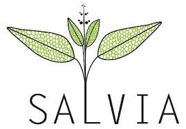 salvia foundation